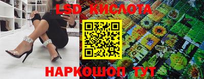 стаф Будённовск