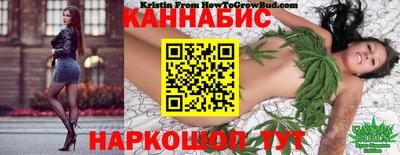 стаф Будённовск